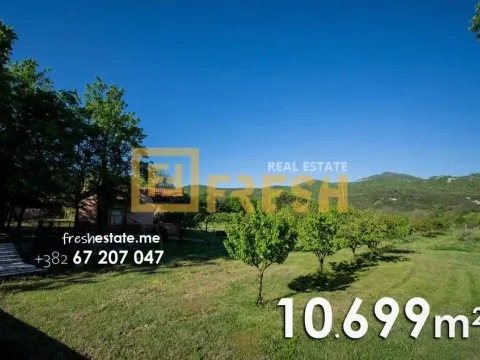 Prodaja, kuća, 10699m², Ostalo, Podgorica - image 12