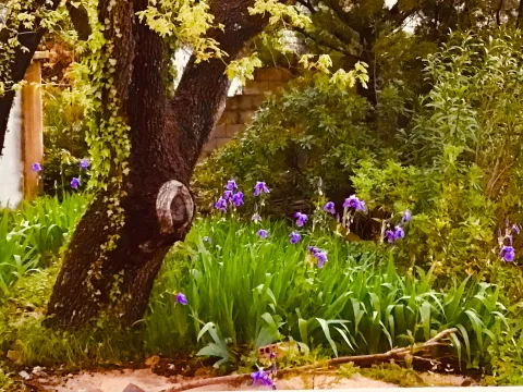 Sale, house, 260m², Zagrađe, Bar - image 3