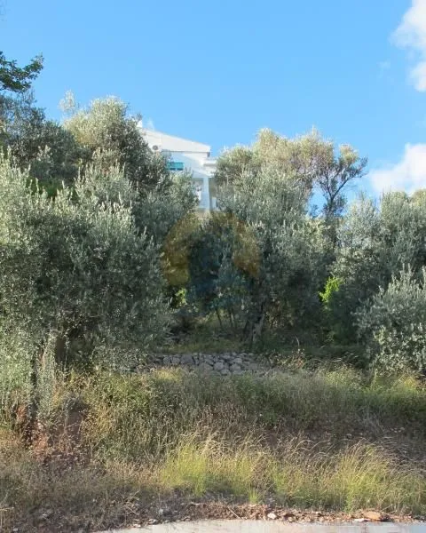Prodaja, plac, 800m², Petrovac, Budva