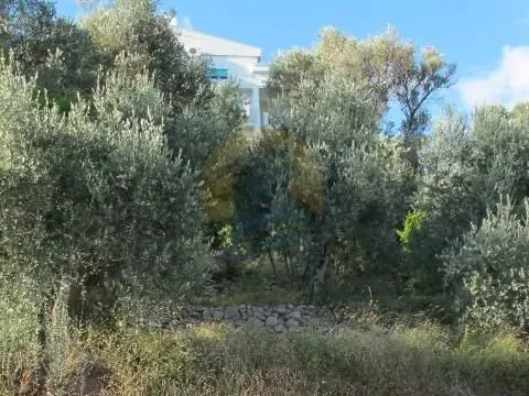 Prodaja, plac, 800m², Petrovac, Budva - image 3