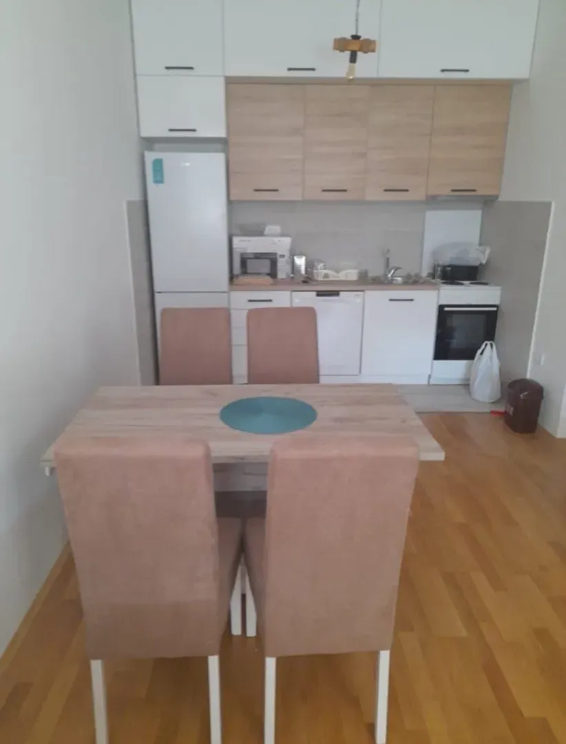 Izdavanje, jednosoban stan, 44m², Zabjelo, Podgorica