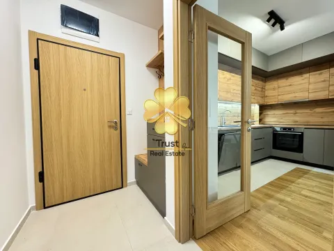 Izdavanje, jednosoban stan, 50m², Podgorica, Crna Gora - image 8