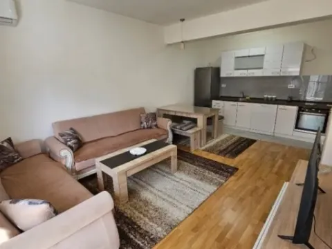 Izdavanje, jednosoban stan, 50m², Stara Varoš, Podgorica - image 10