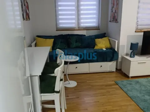 Izdavanje, jednosoban stan, 31m², Olimp, Zvezdara Sve Podlokacije - image 6