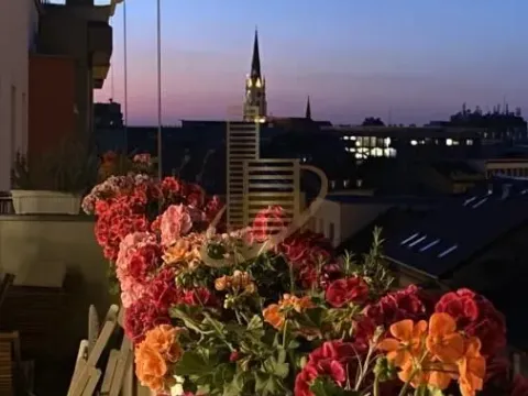 Prodaja, četvorosoban stan, 112m², Stari grad, Novi Sad - image 10