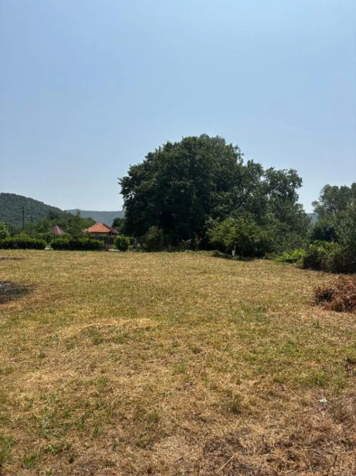 Prodaja, plac, 2400m², Pričelje, Podgorica