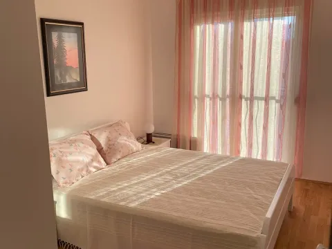 Izdavanje, jednosoban stan, 40m², Stari Aerodrom, Podgorica - image 4