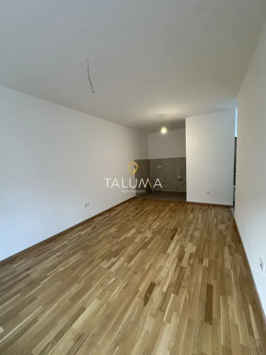 Rent, one bedroom apartment, 43m², Zagorič, Podgorica