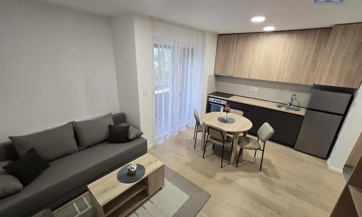 Rent, studio apartment, 30m², Podbara, Novi Sad Sve Podlokacije