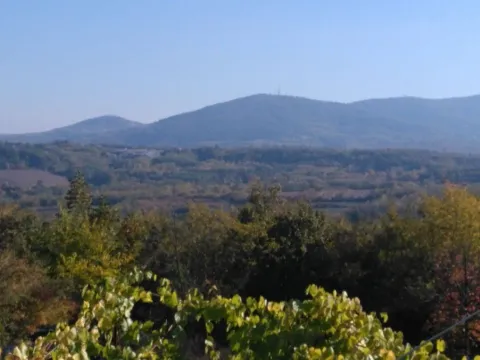 Prodaja, plac, 5400m², Sopot, Beograd - image 1