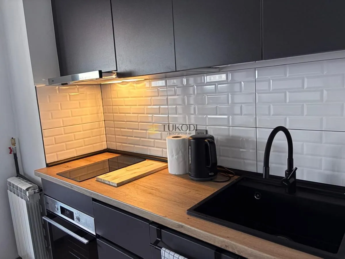 Rent, one bedroom apartment, 60m², Novi Beograd Blok 21, Novi Beograd Sve Podlokacije