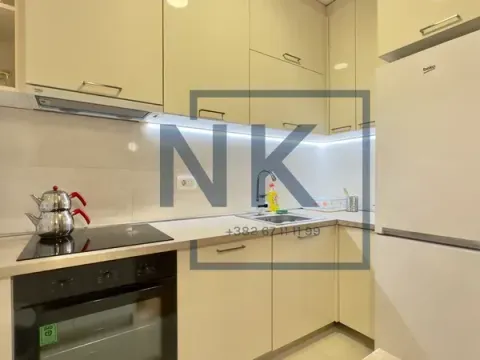 Izdavanje, jednosoban stan, 49m², Central Point, Podgorica - image 4