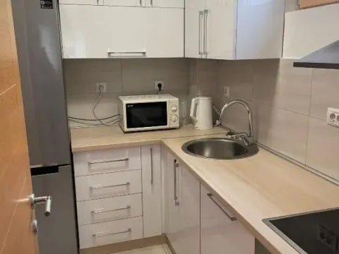 Izdavanje, trosoban stan, 66m², Vračar Sve Podlokacije, Beograd - image 4