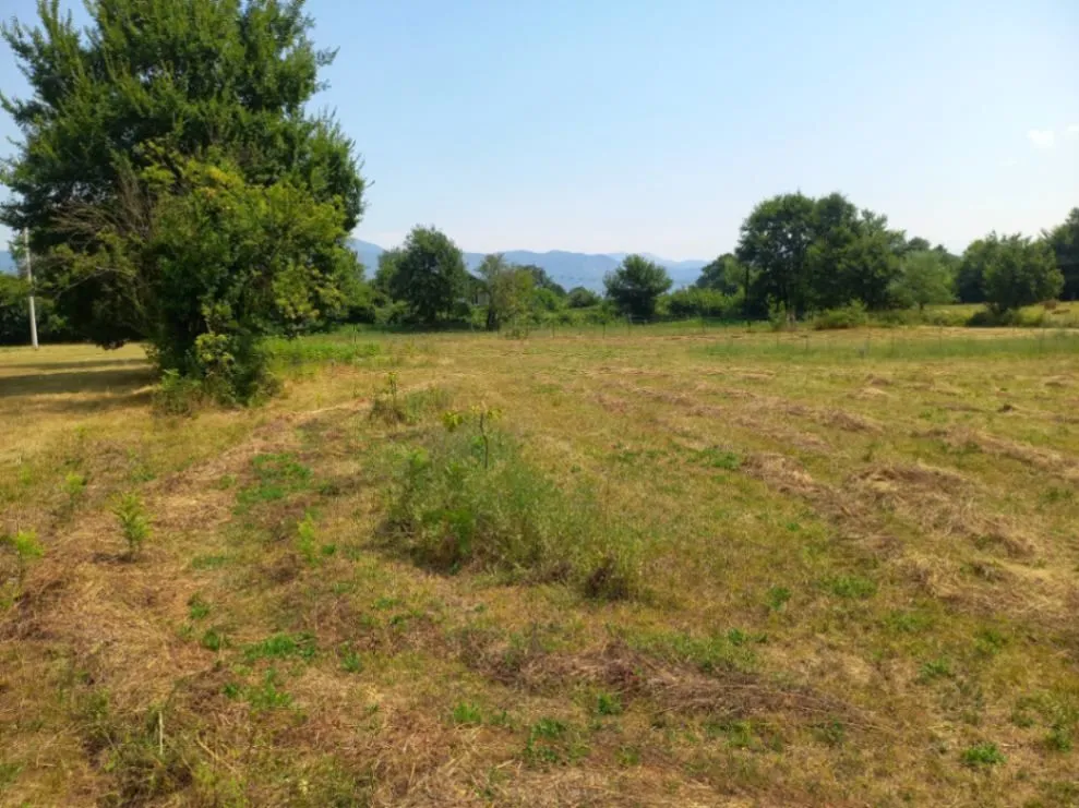 Prodaja, plac, 1550m², Ćurilac, Danilovgrad
