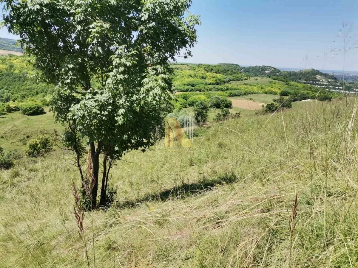 Prodaja, plac, 4204m², Rakovac, Novi Sad Sve Podlokacije