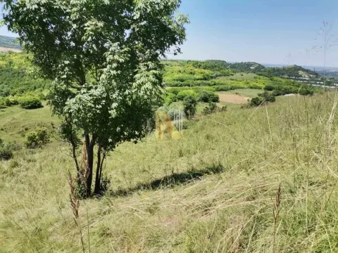 Prodaja, plac, 4200m², Beočin, Srbija - image 6