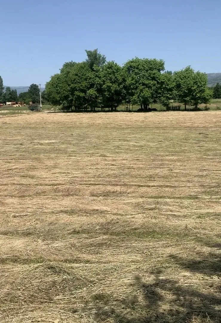 Prodaja, plac, 4650m², Podgorica, Crna Gora