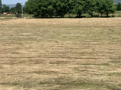 Prodaja, plac, 4650m², Podgorica, Crna Gora - image 9