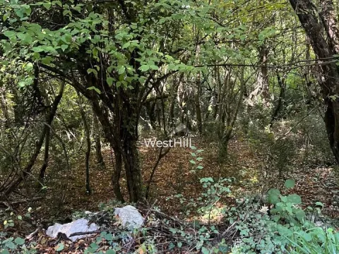 Prodaja, plac, 47894m², Danilovgrad, Crna Gora - image 4