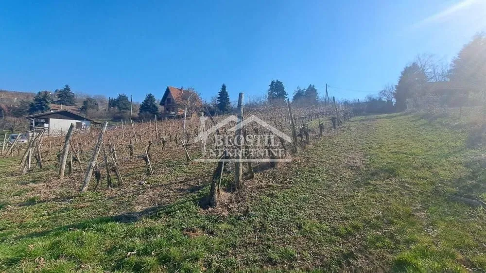 Prodaja, plac, 2000m², Brestovik, Grocka