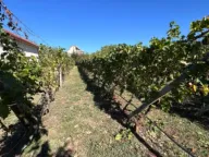 Prodaja, kuća, 68m², Golubovci, Podgorica - image 2