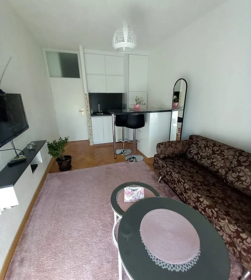 Izdavanje, jednosoban stan, 24m², Gintaš, Podgorica