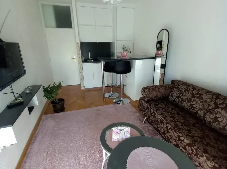 Izdavanje, jednosoban stan, 24m², Gintaš, Podgorica