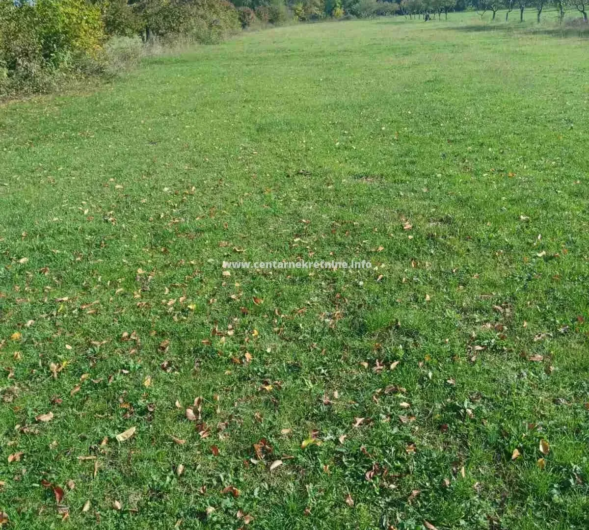 Prodaja, plac, 8711m², Grlić, Danilovgrad