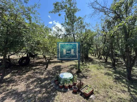 Sale, house, 120m², Paraćin, Srbija - image 25
