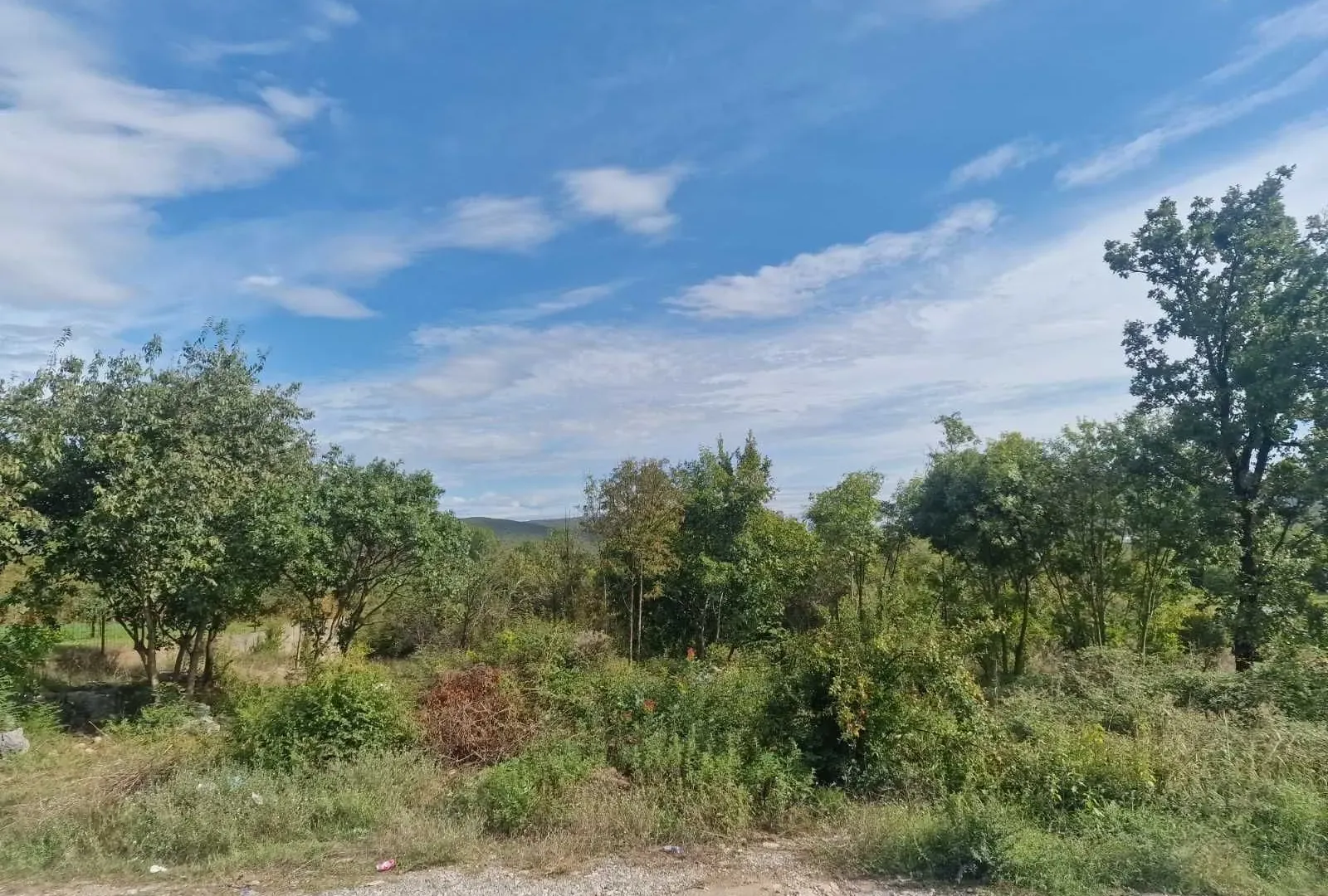 Prodaja, plac, 738m², Danilovgrad, Crna Gora