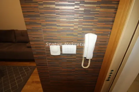 Izdavanje, garsonjera, 24m², Centar, Novi Sad - image 13