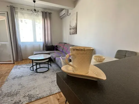 Izdavanje, jednosoban stan, 40m², Ljubović, Podgorica - image 7