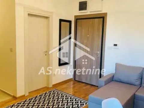 Izdavanje, dvosoban stan, 43m², Botanička Bašta, Palilula Sve Podlokacije - image 13