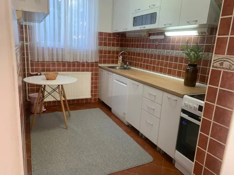 Izdavanje, kuća, 260m², Zagorič, Podgorica - image 5