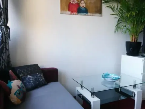 Prodaja, jednosoban stan, 34m², Stari Grad, Beograd - image 5