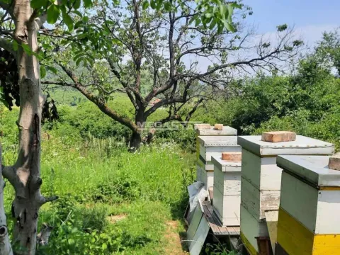 Prodaja, plac, 1100m², Palilula Sve Podlokacije, Beograd - image 3