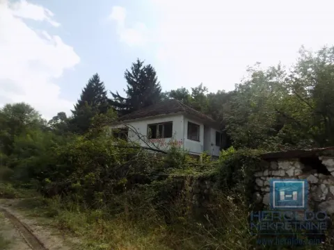 View of an older house with a yard surrounded by greenery. - image 3