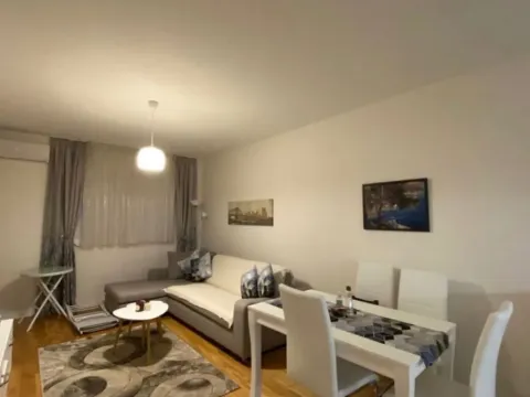 Izdavanje, jednosoban stan, 49m², Central Point, Podgorica