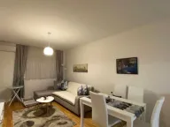 Izdavanje, jednosoban stan, 49m², Central Point, Podgorica - image 1
