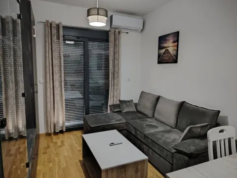 Rent, one bedroom apartment, 59m², Central Point, Podgorica - image 1317