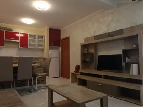Izdavanje, dvosoban stan, 52m², Velji Vinogradi, Budva - image 5