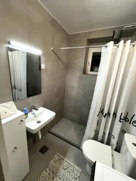 Manje kupatilo sa umivaonikom, tuš kabinom i toaletom u sivim tonovima. - image 7