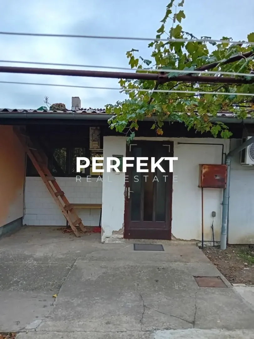 Pogled na ulaz u kuću sa dvorištem i lozom.