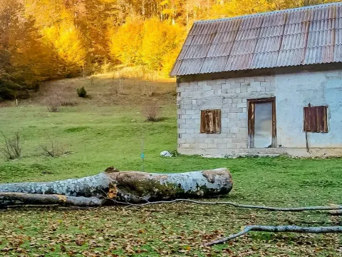 Prodaja, plac, 43000m², Šavnik, Crna Gora - image 6