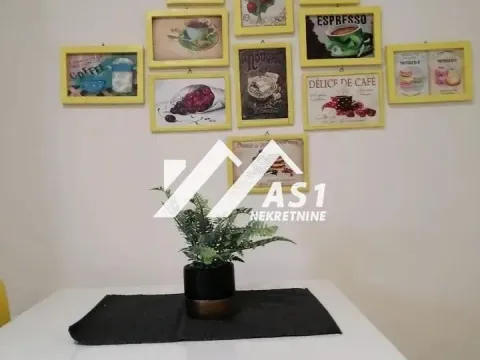 Izdavanje, jednosoban stan, 36m², Novi Sad Sve Podlokacije, Novi Sad - image 2