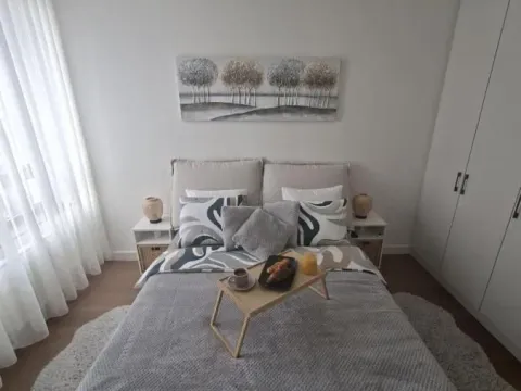 Izdavanje, dvosoban stan, 55m², Savski Venac, Beograd - image 8