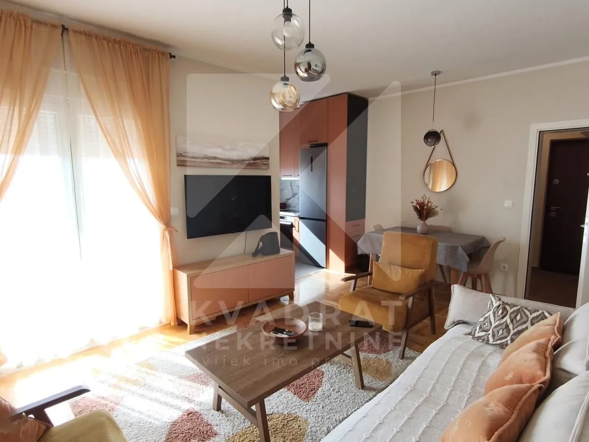 Rent, one bedroom apartment, 48m², Zabjelo, Podgorica