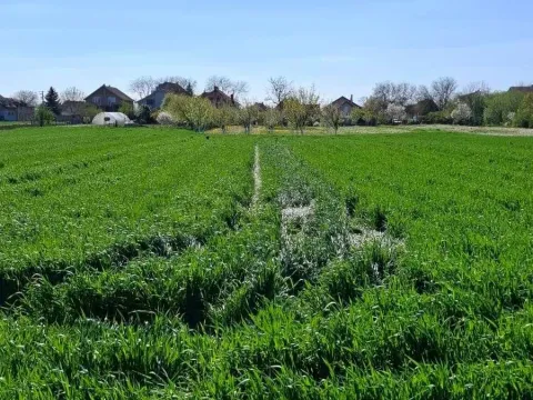 Prodaja, kuća, 248m², Dobanovci, Surčin - image 15