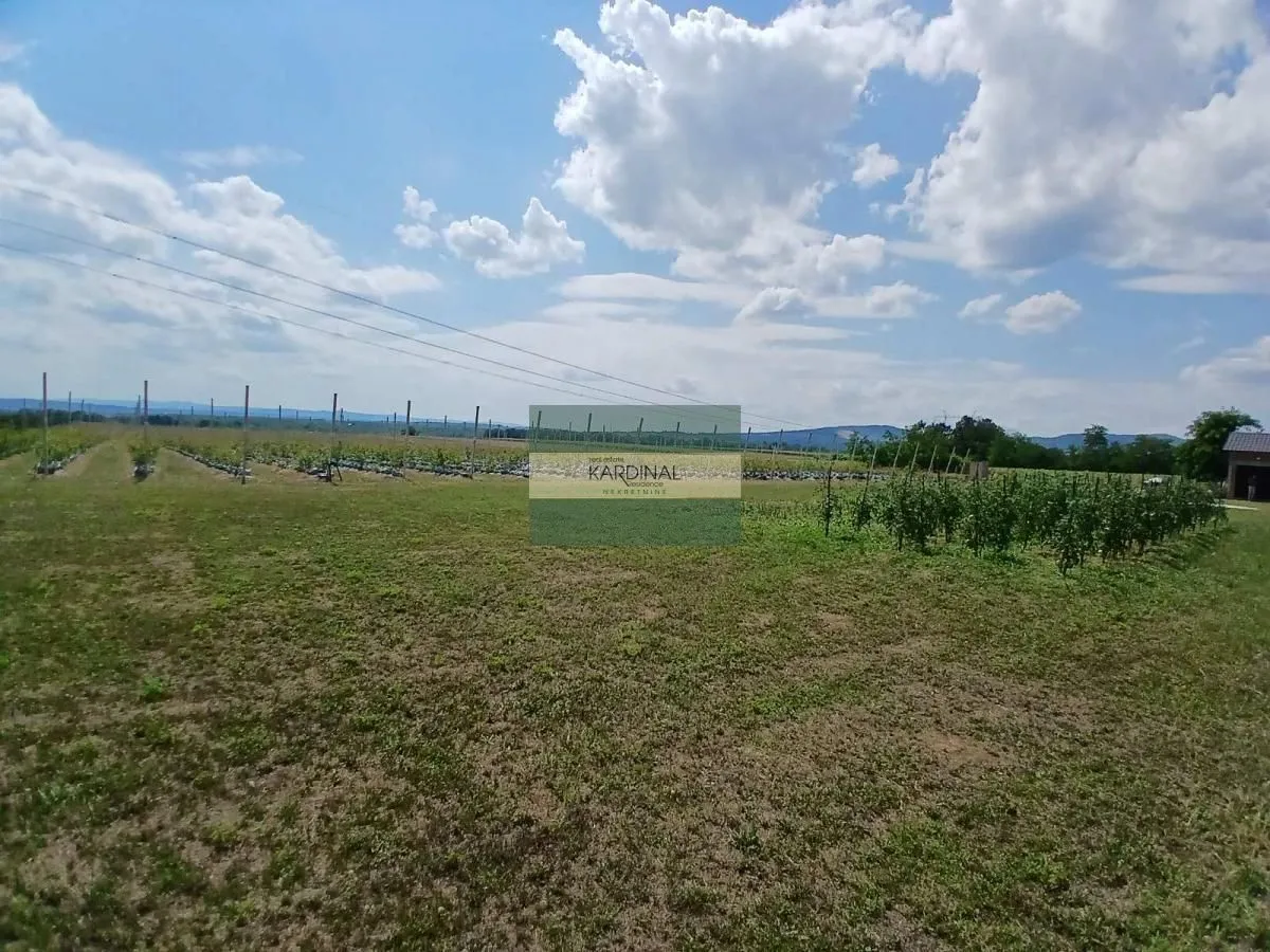 Prodaja, plac, 285100m², Medjureč, Jagodina