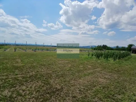 Prodaja, plac, 285100m², Medjureč, Jagodina - image 23